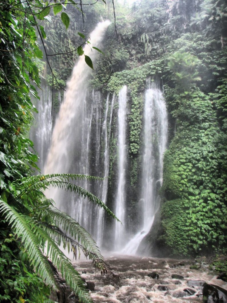 Indonesia 2009 1-8